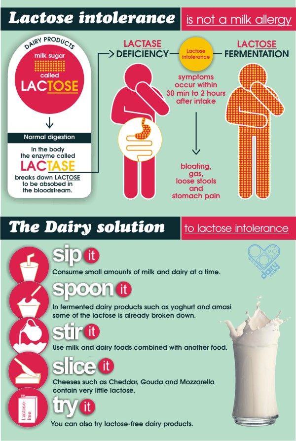 Dairy Lactose Intolerance Rediscover Dairy