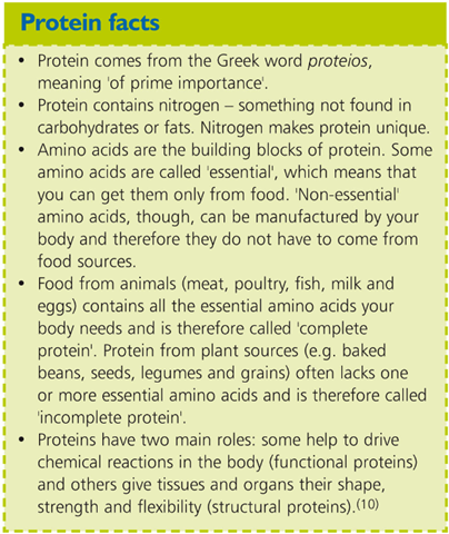 Protein For Energy Or Muscle Building Protein For Energy Or Muscle Building