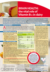 Brain Health and the role of vitamin B12 in dairy Brain Health and the role of vitamin B12 in dairy